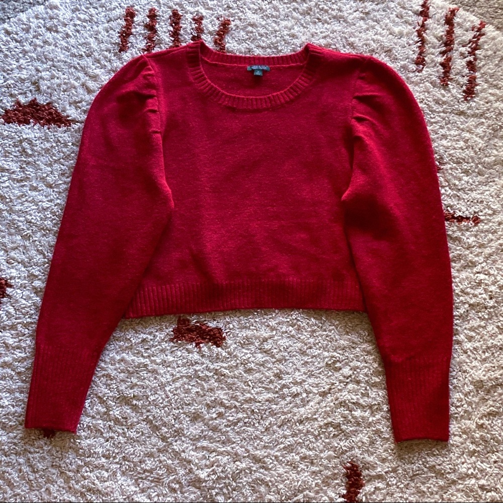 Wild Fable Red Crop Top Sweater XL